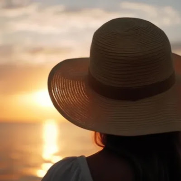 Meet your Posher, Vega - Picture 1 of 1